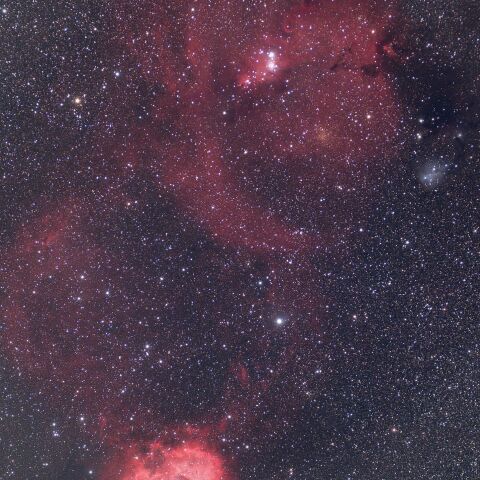 NGC2244 バラ星雲～NGC2245 NGC2247 コーン星雲まで