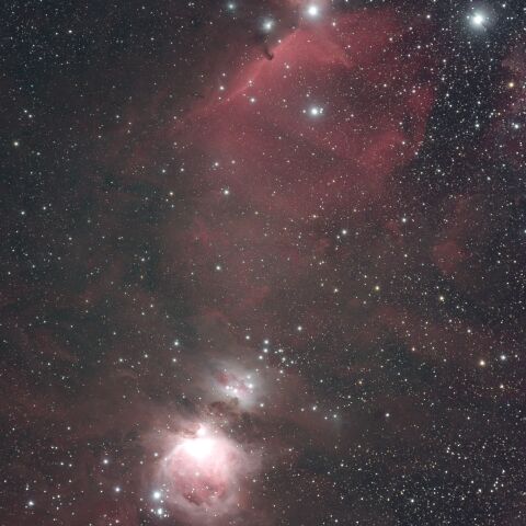 M42・M43・IC434・NGC2024 オリオン座 