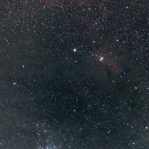 M45 プレアデス星団 NGC1499 カルフォルニア星雲 NGC1579 北の三裂星雲　おうし座～ペルセウス座