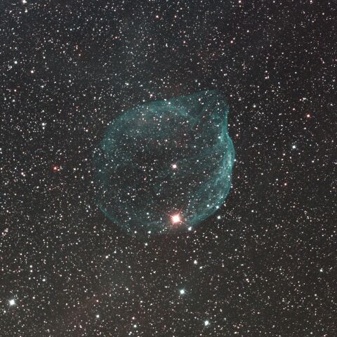 Sh2-308 ミルクポット星雲 イルカ頭星雲 おおいぬ座