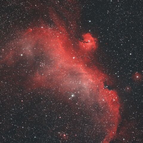 IC2177 かもめ星雲 いっかくじゅう座