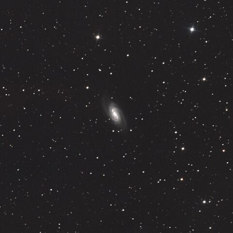 NGC2903 しし座
