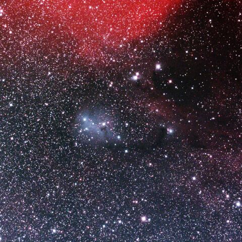 IC447 カタツムリ星雲 いっかくじゅう座