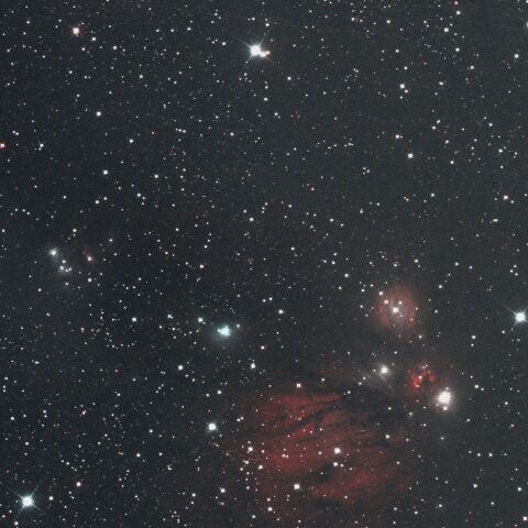 103645: NGC2170 The Angel Nebula by バークレー - 天体写真
