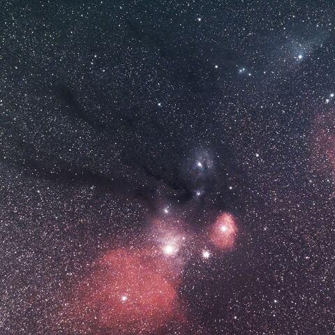 さそり座頭部 カラフルタウン M4 IC4592 青い馬頭星雲