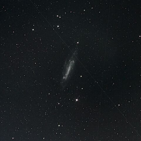 NGC4236 りゅう座