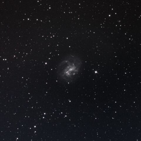 NGC4395 りょうけん座