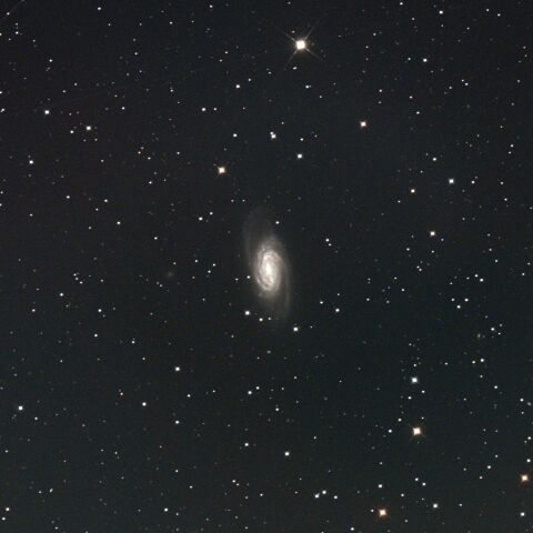 NGC2903 しし座