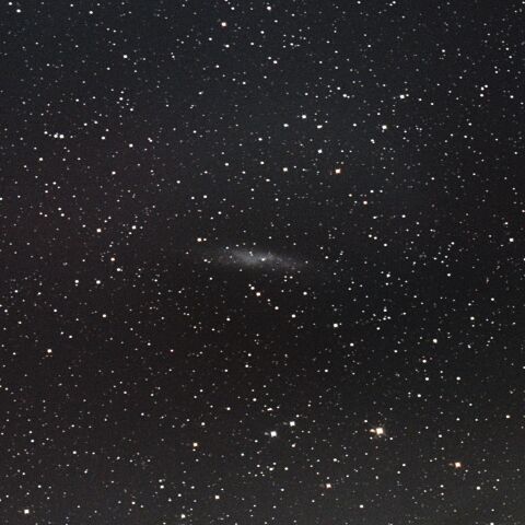 NGC3109 うみへび座