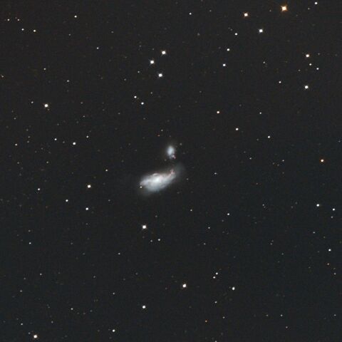 NGC4485 まゆ銀河 NGC4490 りょうけん座
