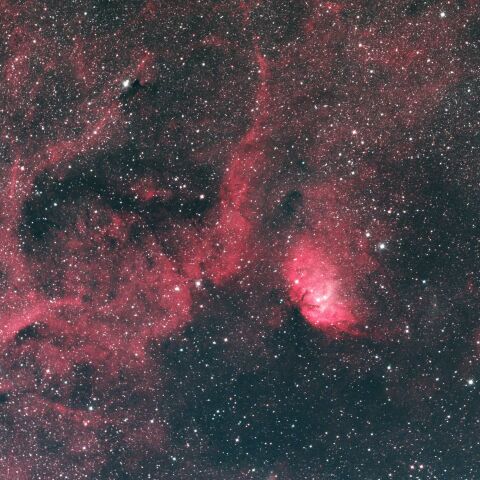 Sh2-101 チューリップ星雲 はくちょう座