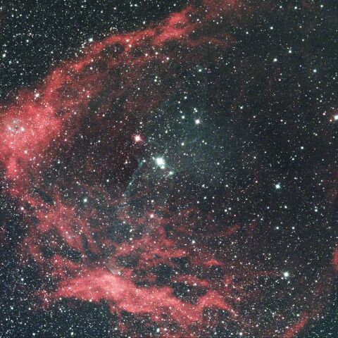 Sh2-129 こうもり星雲 ダイオウイカ星雲 ケフェウス座