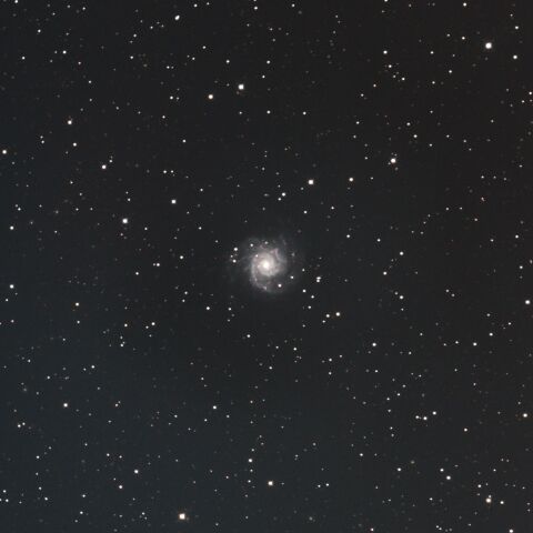 M74 ファントム銀河 うお座