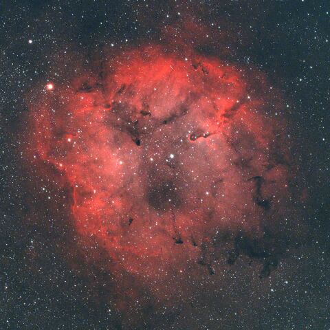 IC1396 Sh2-131 ケフェウス座