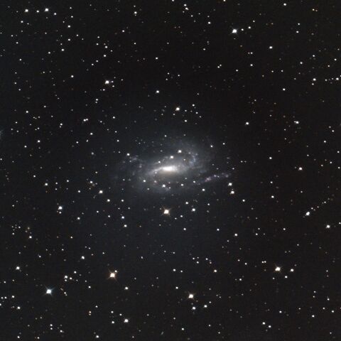 NGC925 さんかく座 by 化石職人