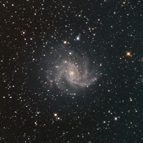 NGC6946 ケフェウス座 はくちょう座