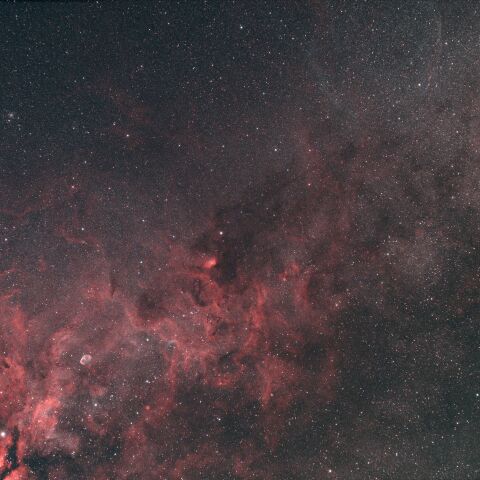 124987: 夜空は宝石箱(クレセント星雲 NGC6888) Seestar50 by