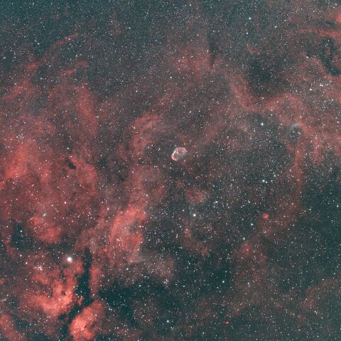 サドル付近 NGC6888 クレセント星雲 Sh2-101 チューリップ星雲 WR134 はくちょう座