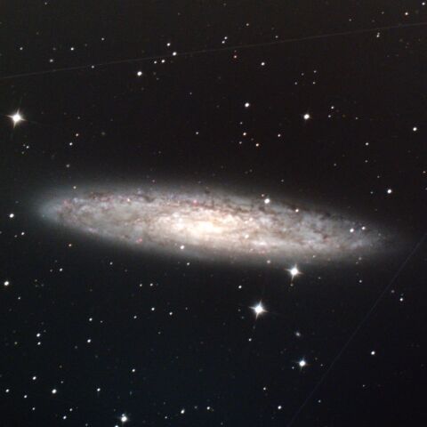 NGC253 ちょうこくしつ座