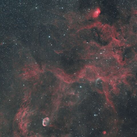 NGC6888 クレセント星雲 Sh2-101 チューリップ星雲 WR134 はくちょう座