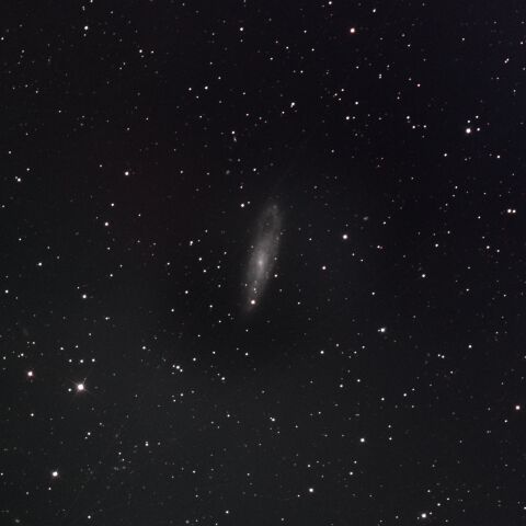 NGC247 くじら座