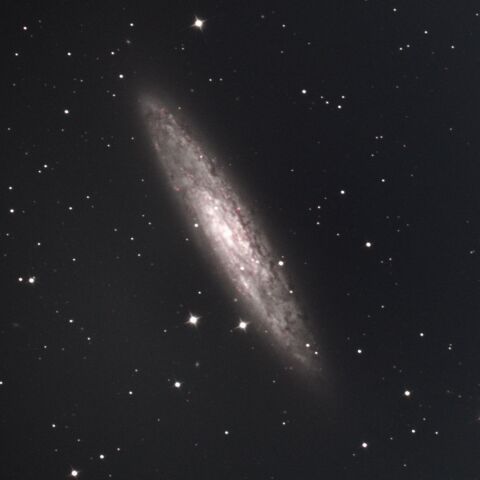 NGC253 ちょうこくしつ座