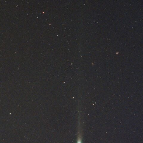 C/2025 A6 レモン彗星