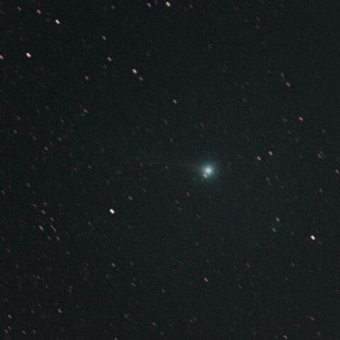 C/2025R2 スワン彗星