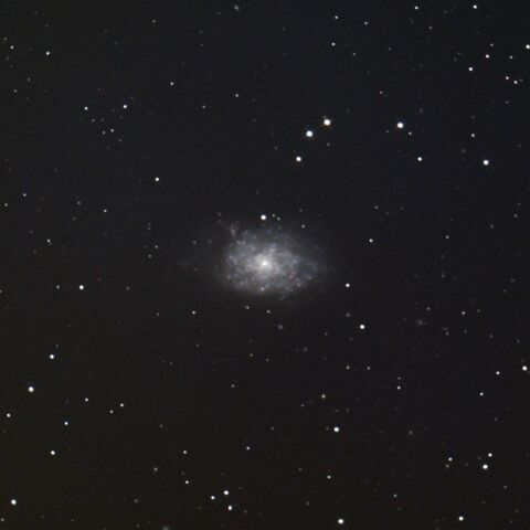 NGC7793 ちょうこくしつ座