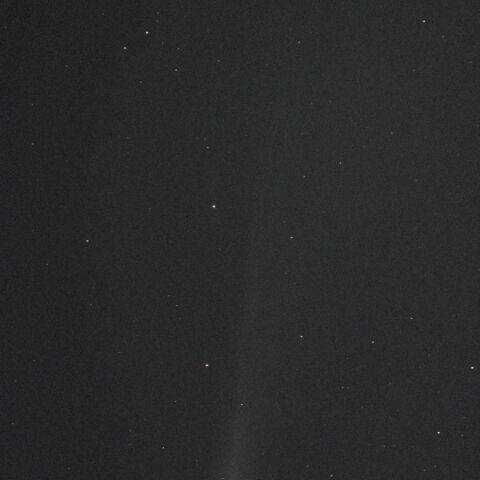 C/2025 A6 レモン彗星