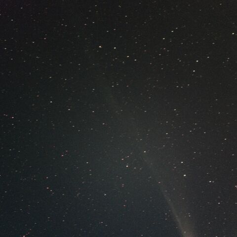 C/2025 A6 レモン彗星