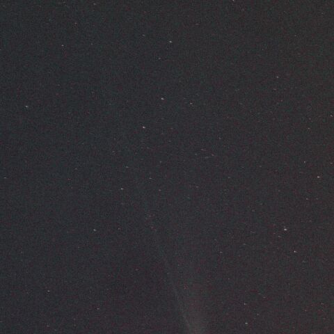 C/2025 A6 レモン彗星