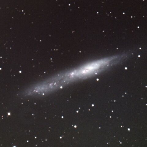 NGC55 ちょうこくしつ座