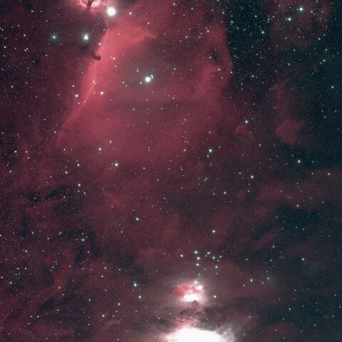 M42 IC434 NGC2024 オリオン座