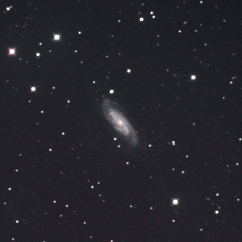 NGC3198 おおぐま座