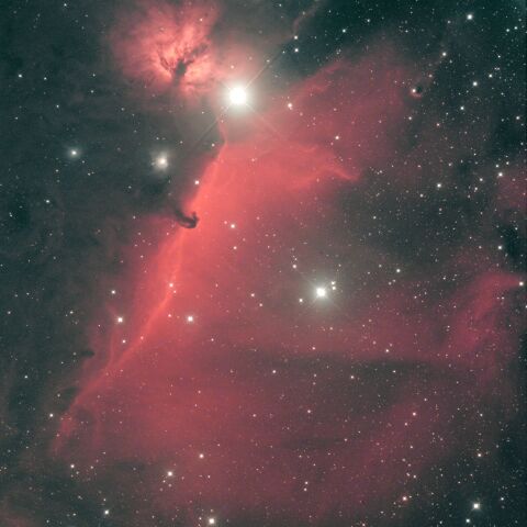 IC434 馬頭星雲 NGC2024 燃える木星雲 オリオン座