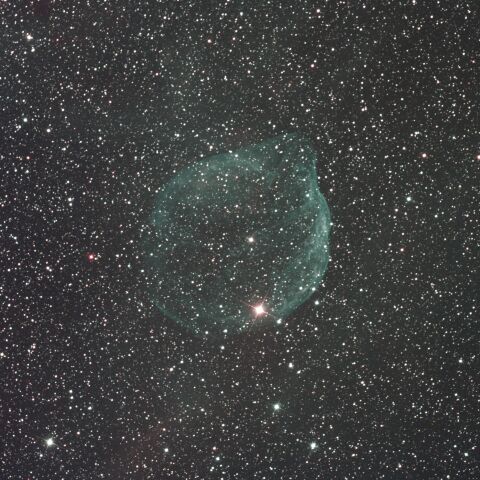 Sh2-308 ミルクポット星雲 イルカの頭星雲 おおおいぬ座