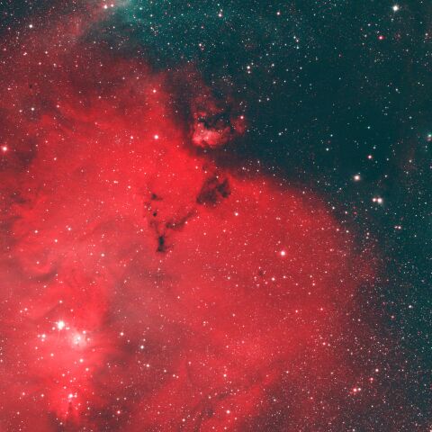 IC447 かたつむり星雲 NGC2246 コーン星雲 いっかくじゅう座