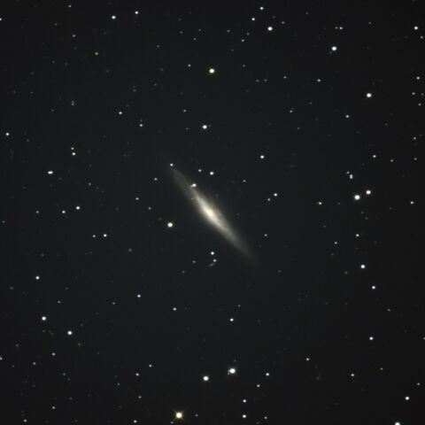 NGC2683 UFO銀河 やまねこ座