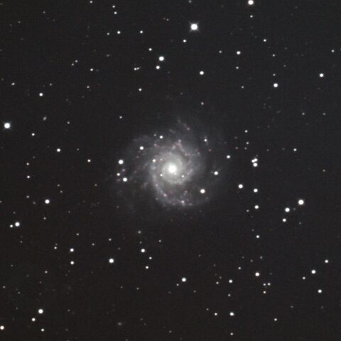 M74 ファントム銀河 うお座