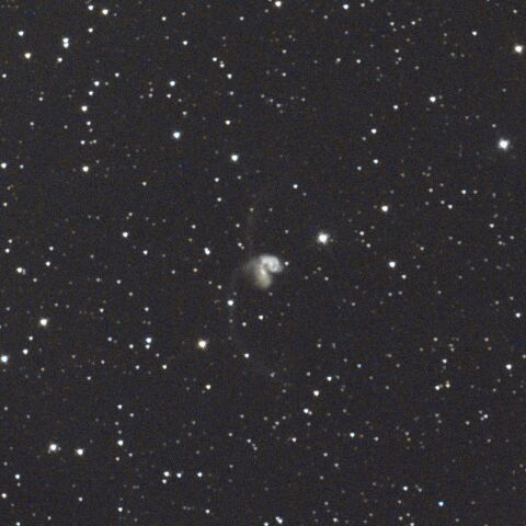 NGC4038 NGC4039アンテナ銀河 からす座