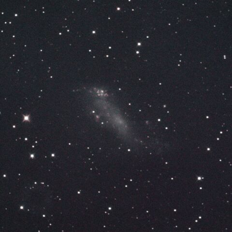 IC2574 おおぐま座