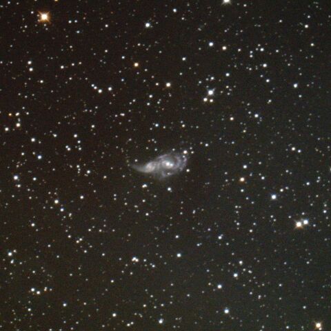 NGC2207 おおいぬ座