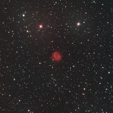 Abell24 こいぬ座