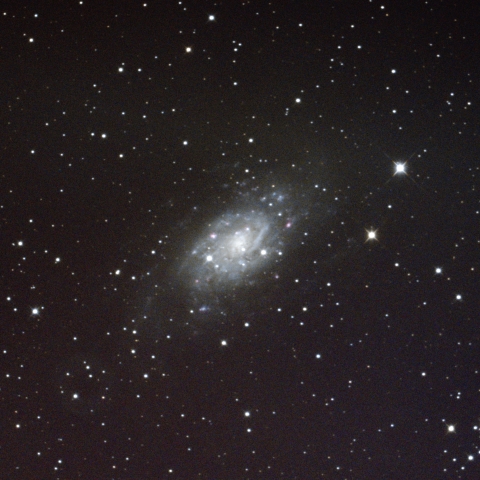 NGC2403 きりん座