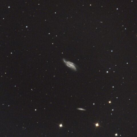 NGC4085 NGC4088 おおぐま座