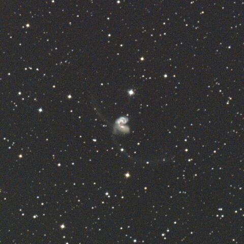 NGC4038 NGC4039アンテナ銀河 からす座
