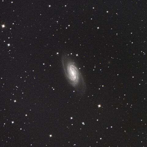 NGC2903 しし座