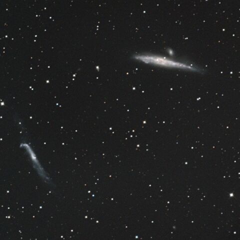 NGC4631 クジラ銀河 NGC4656 りょうけん座
