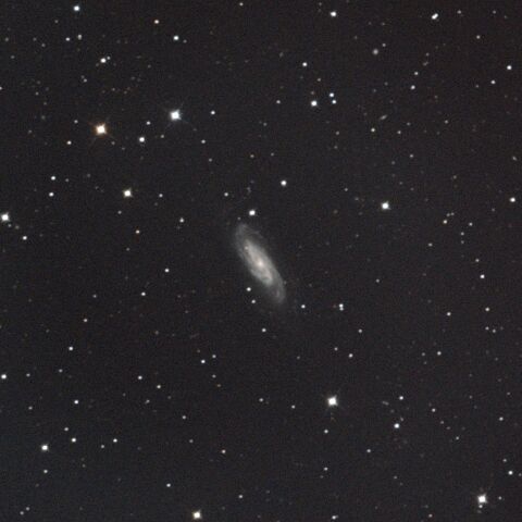 NGC3198 おおぐま座